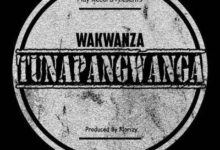 Audio: Wakwanza – Tunapangwanga (Mp3 Download) - KibaBoy