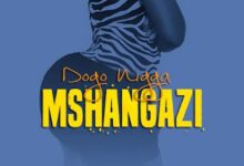 Audio: Dogo Niga – Mshangazi (Mp3 Download) - KibaBoy