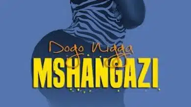 Audio: Dogo Niga – Mshangazi (Mp3 Download)