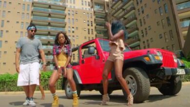 VIDEO: Navio Ft. Vanessa Mdee - Nielewe (Mp4 Download) - KibaBoy