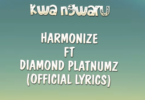 Lyrics VIDEO: Harmonize ft Diamond Platnumz - Kwa Ngwaru (Mp4 Download) - KibaBoy