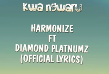 Lyrics VIDEO: Harmonize ft Diamond Platnumz - Kwa Ngwaru (Mp4 Download) - KibaBoy