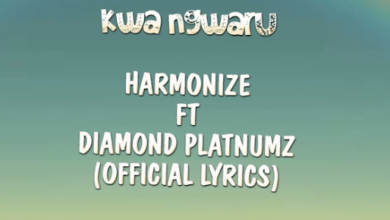 Lyrics VIDEO: Harmonize ft Diamond Platnumz - Kwa Ngwaru (Mp4 Download) - KibaBoy