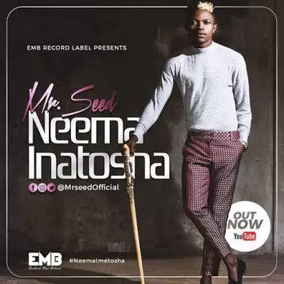 Audio: Mr Seed – Neema Inatosha (Mp3 Download)