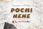 Audio: Rayvanny Ft S2kizzy - Pochi Nene (Mp3 Download) - KibaBoy