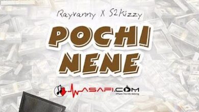 Audio: Rayvanny Ft S2kizzy - Pochi Nene (Mp3 Download) - KibaBoy