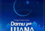 Audio: Chege ft Maka Voice - Damu Ya Ujana (Mp3 Download) - KibaBoy