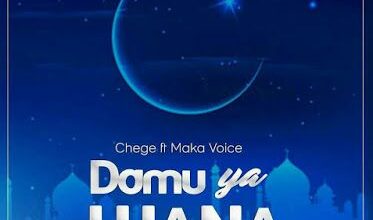 Audio: Chege ft Maka Voice - Damu Ya Ujana (Mp3 Download) - Kibaboy