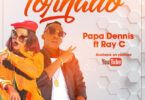 Audio: Papa Dennis Ft. Ray C - Tornado (Mp3 Download) - KibaBoy