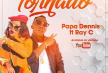 Audio: Papa Dennis Ft. Ray C - Tornado (Mp3 Download) - KibaBoy