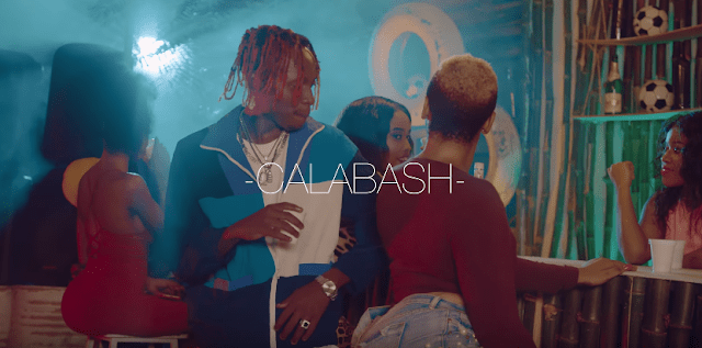 VIDEO: Country Wizzy Ft. Nikki Wa Pili - CALABASH (Mp4 Download) - KibaBoy