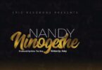 Audio: Nandy - Ninogeshe (Mp3 Download) - KibaBoy