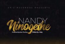 Audio: Nandy - Ninogeshe (Mp3 Download) - KibaBoy