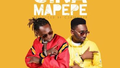 Audio: G vas Ft. Country Wizzy - Sina Mapepe (Mp3 Download) - KibaBoy