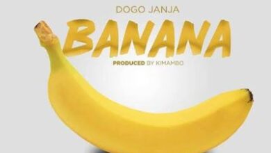 Audio: Dogo Janja - Banana (Mp3 Download) - KibaBoy