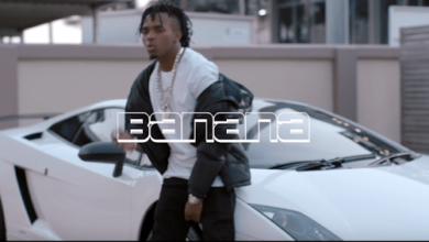 VIDEO: Dogo janja - Banana (Mp4 Download) - KibaBoy