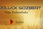 Lyrics VIDEO: Goodluck Gozbert - Nipe (Mp4 Download) - KibaBoy