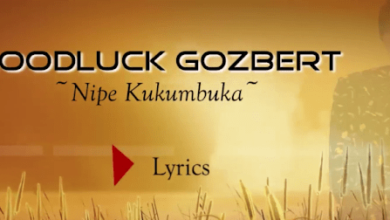 Lyrics VIDEO: Goodluck Gozbert - Nipe (Mp4 Download) - KibaBoy