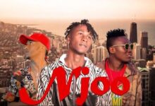 Audio: Steve Classic Ft. Bonge La Nyau & Sadimu Mavoice – Njoo (Mp3 Download) - KibaBoy