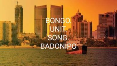 Audio: Bongo Unity – Bado Nipo (Mp3 Download) - KibaBoy