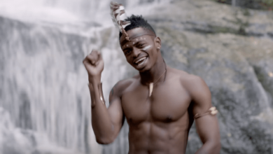 VIDEO: Diamond Platnumz - Mdogo Mdogo (Mp4 Download) - KibaBoy