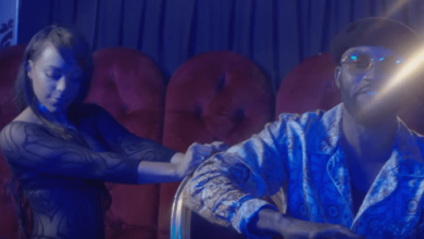 VIDEO: Fally Ipupa Ft. Booba - Kiname (Mp4 Download) - KibaBoy