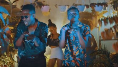 VIDEO: G Nako Ft Marioo - Nyatu Nyatu (Mp4 Download) - KibaBoy