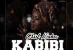 Audio: Chief Maker – KABIBI (Mp3 Download) - KibaBoy