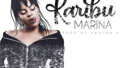 Audio: Marina – Karibu (Mp3 Download) - KibaBoy