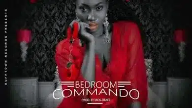 Audio: Wendy Shay – Bedroom Commando (Mp3 Download)