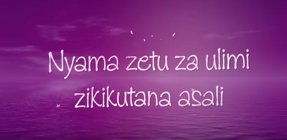 Lyrics VIDEO: Mbosso - Alele (Mp4 Download)