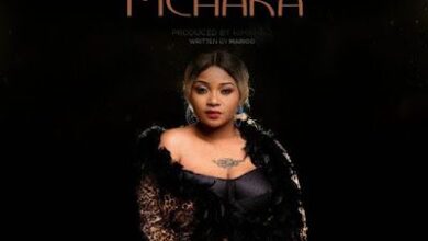 Audio: Shilole - Mchaka Mchaka (Mp3 Download) - KibaBoy