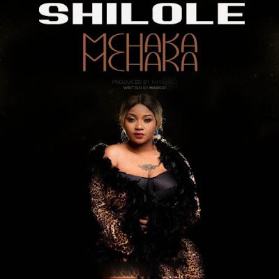 Audio: Shilole - Mchaka Mchaka (Mp3 Download) - KibaBoy