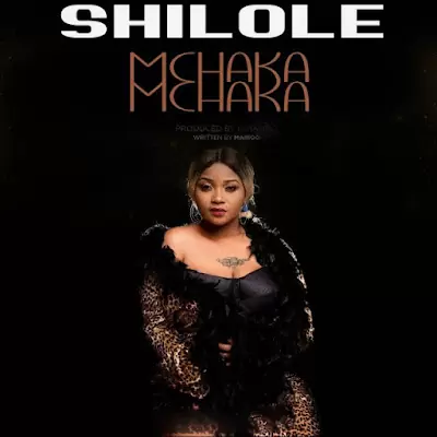 Audio: Shilole - Mchaka Mchaka (Mp3 Download)