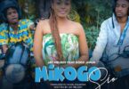 Audio: Jay Melody Ft. Dogo Janja - Mikogo Sio (Mp3 Download) - KibaBoy