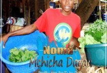 Audio: Noma – Mchicha Dagaa (Mp3 Download) - KibaBoy