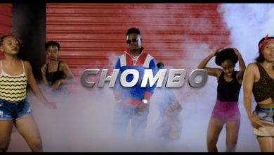 VIDEO: Rayvanny - Chombo (Mp4 Download) - KibaBoy