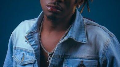 Audio: Lanister ft Young Dee – Unataka Nini (Mp3 Download) - KibaBoy