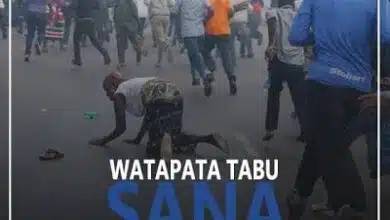 Audio: DIZ Africana Ft. Shilawadu – Watapata Tabu Sana (Mp3 Download)
