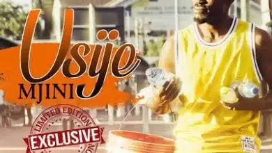 Audio: Dan Mapete Ft. Dogo Niga – Usije Mjini (Mp3 Download)