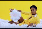 VIDEO: Dayna Nyange - Salama (Mp4 Download) - KibaBoy