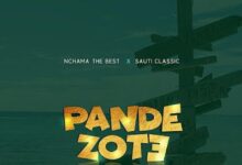 Audio: Nchama The Best Ft. Sauti Classic – Pande Zote (Mp3 Download) - KibaBoy