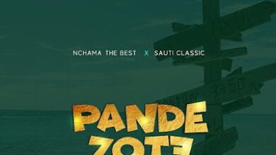 Audio: Nchama The Best Ft. Sauti Classic – Pande Zote (Mp3 Download) - KibaBoy