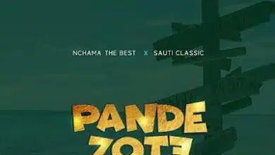 Audio: Nchama The Best Ft. Sauti Classic – Pande Zote (Mp3 Download)