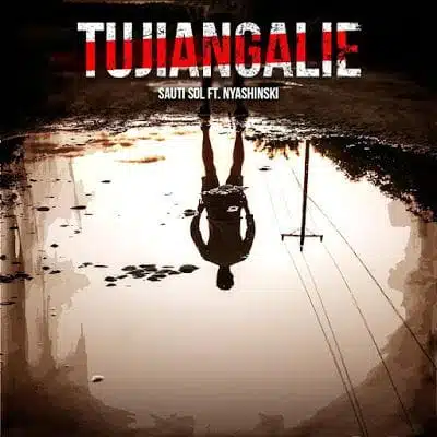 Audio: Sauti Sol Ft. Nyashinski – Tujiangalie (Mp3 Download)
