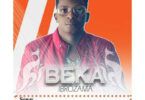 Audio: Beka Ibrozama – Kangaroo (Mp3 Download) - KibaBoy