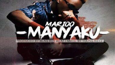 Audio: Marioo - Manyaku (Mp3 Download) - KibaBoy