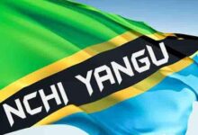 Audio: Tanzania Artist – Nchi Yangu (Mp3 Download) - KibaBoy