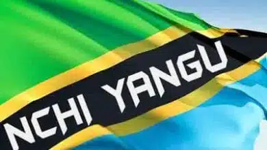 Audio: Tanzania Artist – Nchi Yangu (Mp3 Download)
