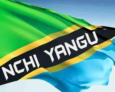 Audio: Tanzania Artist – Nchi Yangu (Mp3 Download)